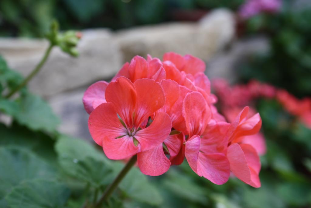 Kerkent Bed & Breakfast Agrigento Exterior foto